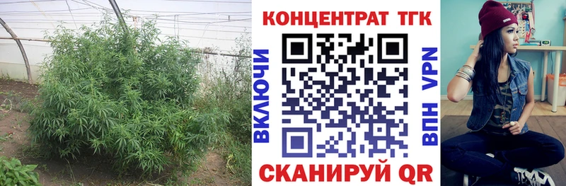 мориарти наркотические препараты  MEGA маркетплейс  Каневская  Дистиллят ТГК вейп 